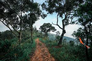 BIB: 
                            <button type="button" onclick="openModal(26029201)" class="btn btn-primary btn-sm float-right btn-popup" data-toggle="modal" data-target=".modal-high-quality">
                        <i class="fas fa-shopping-cart"></i> Add to Cart
                    </button>
                                            <button type="button" onclick="isThisMe(26029201, true)" class="btn btn-success btn-sm float-right btn-popup btn-isme hidden" data-toggle="tooltip" data-placement="bottom" title="นี่คือรูปของคุณใช่ไหม คลิกที่นี่เพื่อเอาเข้าอัลบั้ม">
                        <i class="fas fa-plus"></i> Add to album
                    </button>
                    <button type="button" onclick="isThisMe(26029201, false)" class="btn btn-warning btn-sm float-right btn-popup btn-isnotme hidden">
                        <i class="fas fa-ban"></i> Remove from album
                    </button>